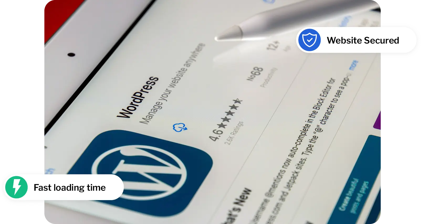 WP360 WordPress Services